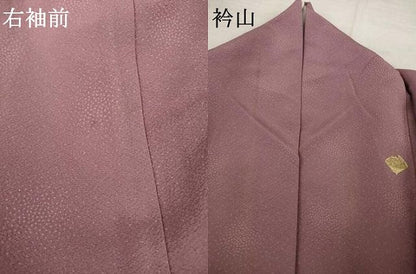平和屋着物●螺鈿作家　藤本隆士　訪問着　螺鈿　箔散らし笹文　金彩　正絹　逸品　AABH8803ck