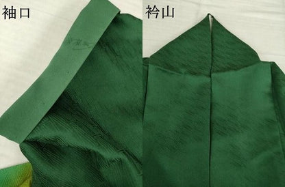 平和屋着物●染色作家　斉藤三才　訪問着　三才鳥　暈し染め　金彩　やまと誂製　正絹　逸品　AABH8819ck