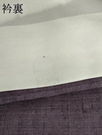 平和屋着物●訪問着　紬地　駒刺繍　中国三大刺繍　相良刺繍　立波松文　木賊　金彩　正絹　逸品　AABH8914cs
