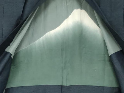 平和屋着物●男性　本場大島紬　アンサンブル　亀甲絣　正絹　逸品　AABH8942cs