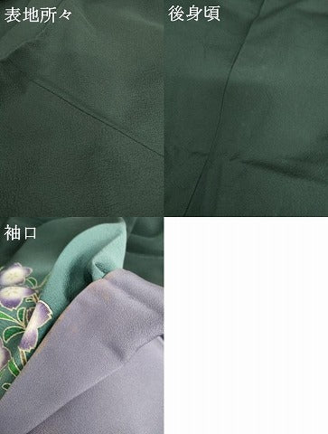 平和屋着物●世界的人形師　辻村寿三郎　ジュサブロー　訪問着　枝垂れ花文　暈し染め　金彩　正絹　逸品　AABH8953cs