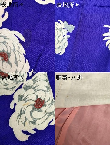 平和屋着物●アンティーク　大正ロマン　小紋　菊　正絹　逸品　AABH8970cs