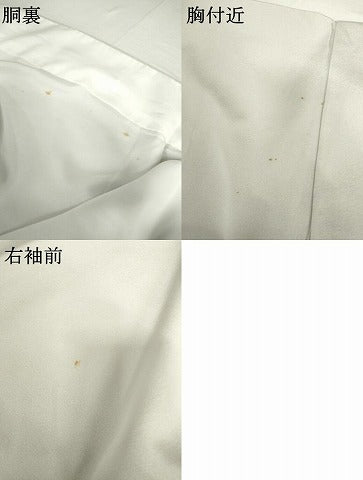 平和屋着物●色留訪問着　友禅　雪輪花唐草文　金彩　正絹　逸品　AABH8990cs