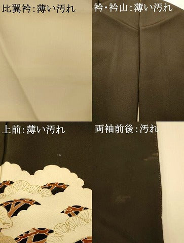 平和屋着物■豪華黒留袖　作家物　駒刺繍　北野大茶湯　松　金彩　正絹　逸品　AABH9029fw