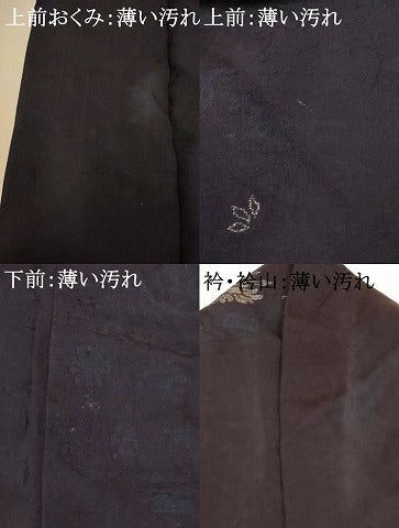 平和屋着物■上質な紬 寿光織 草花文 銀糸 正絹 逸品 AABH9032fw