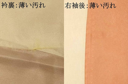 平和屋着物■色留訪問着 作家物 龍谷 籬鳳凰文様 暈し染め 金彩 正絹 逸品 AABH9036fw