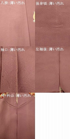 平和屋着物■豪華色留袖 作家物 人物風景文 金彩 正絹 逸品 AABH9067fw
