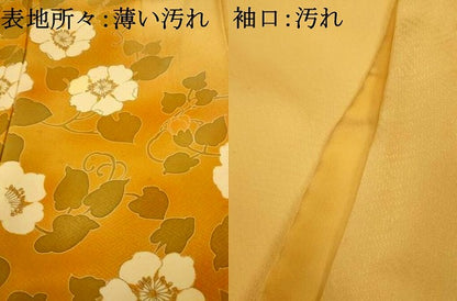 平和屋着物■訪問着 枝花文 暈し染め 金彩 正絹 逸品 AABH9109fw