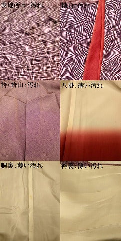 平和屋着物■江戸小紋 鮫小紋柄 正絹 逸品 AABH9131fw