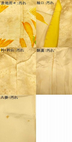 平和屋着物■訪問着　草花文　金彩　正絹　逸品　AABH9149fw