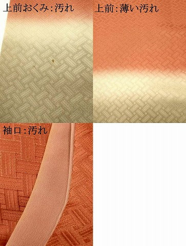 平和屋着物■豪華色留袖　横段霞文　暈し染め　正絹　逸品　AABH9245fw