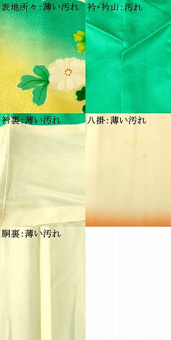 平和屋着物■訪問着 草花文 暈し染め 正絹 逸品 AABH9256fw