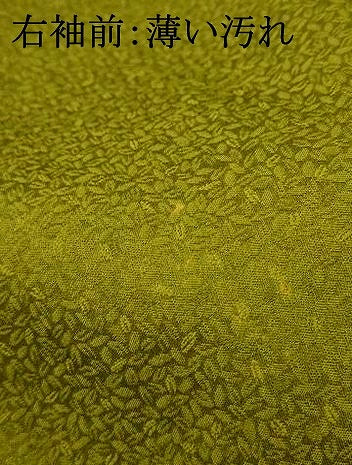 平和屋着物■訪問着 更紗花文 金彩 正絹 逸品 AABH9278fw