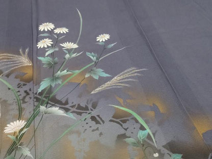平和屋着物＊夏物 訪問着 絽 手描き 草花文 暈し染め 金彩 正絹 逸品 AABH9379jd