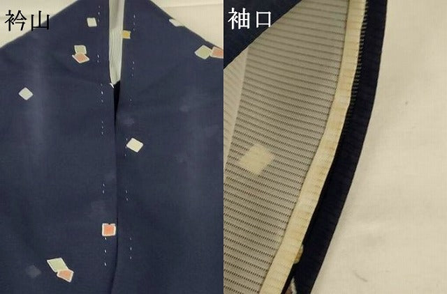 平和屋着物＊夏物 小紋 絽 箔散らし文様 正絹 逸品 AABH9391jd