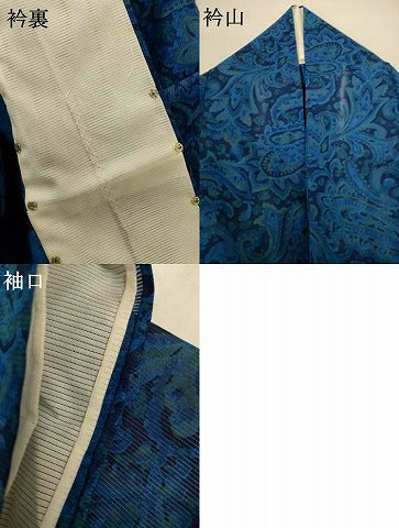 平和屋着物＊夏物　小紋　絽　ペイズリー　正絹　逸品　AABH9398jd 平和屋着物＊夏物 小紋 絽 ペイズリー 正絹 逸品 AABH9398jd