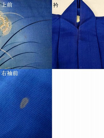 平和屋着物＊夏物 アンティーク 大正ロマン 色留袖 絽縮緬 草花文 暈し染め 正絹 逸品 AABH9403jd