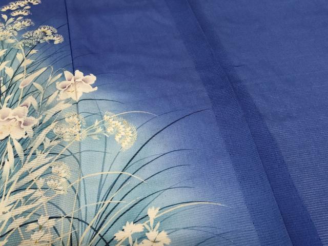 平和屋着物＊夏物 アンティーク 大正ロマン 色留袖 絽縮緬 草花文 暈し染め 正絹 逸品 AABH9403jd