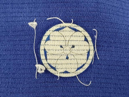 平和屋着物＊夏物 アンティーク 大正ロマン 色留袖 絽縮緬 草花文 暈し染め 正絹 逸品 AABH9403jd