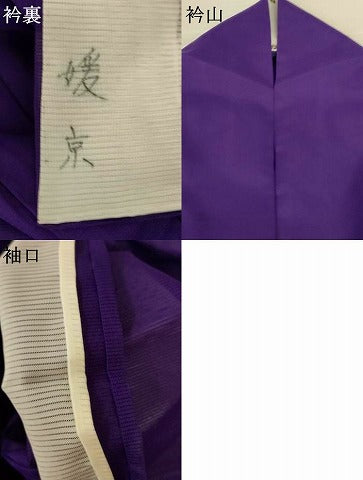 平和屋着物＊夏物 色無地 絽 深紫色 洗える着物 AABH9412jd