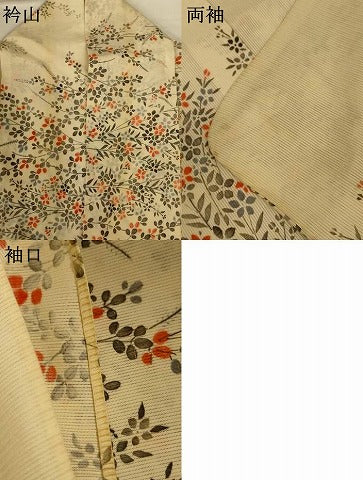 平和屋着物＊夏物 小紋 絽 手描き 草花文 正絹 逸品 AABH9442jd