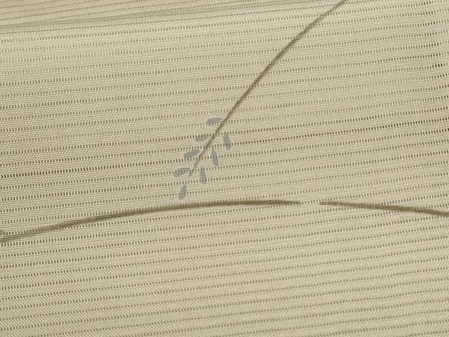 平和屋着物＊夏物 小紋 絽 枝葉文 洗える着物 AABH9467jd