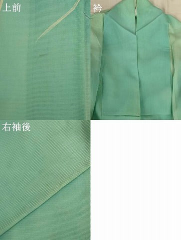 平和屋着物＊夏物　訪問着　絽　草花文　暈し染め　銀彩　正絹　逸品　AABH9477jd