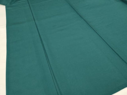 平和屋着物＊夏物　色無地　絽　天鵞絨色　正絹　逸品　AABH9508jd