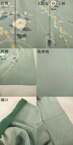平和屋着物●訪問着　友禅　枝花文　正絹　逸品　AABH9556ck