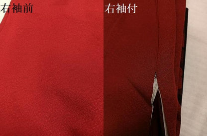 平和屋着物●豪華振袖　牡丹　暈し染め　金彩　正絹　逸品　AABH9630ph