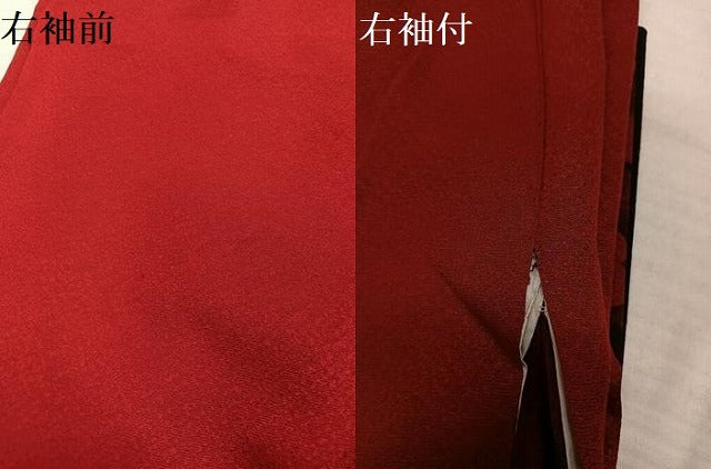 平和屋着物●豪華振袖　牡丹　暈し染め　金彩　正絹　逸品　AABH9630ph