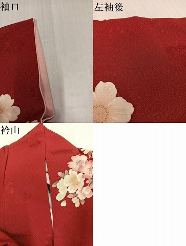 平和屋着物●ファッションブランド　hiromichi nakano　ヒロミチナカノ　振袖　花蝶文　銀通し地　正絹　逸品　AABH9638ph