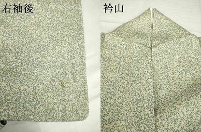 平和屋着物●京友禅の第一人者　松井青々　小紋　霞文　たたき染め　正絹　逸品　AABH9960ck