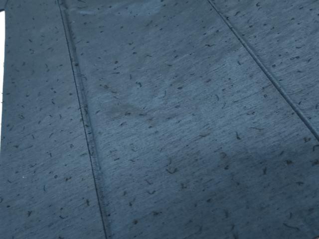 平和屋着物●男性　ひげ紬　色無地　濃藍色　正絹　逸品　AABI0030cs