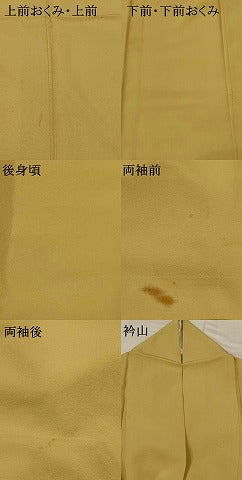 平和屋着物▽上質な色無地　単衣　紋意匠　飴色　正絹　逸品　AABI0122st