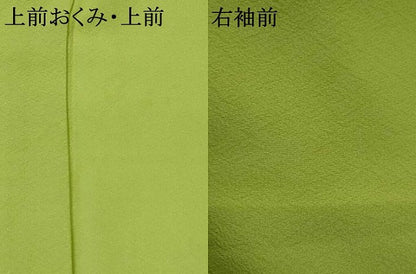 平和屋着物▽上質な色無地　単衣　紋意匠　青丹色　正絹　逸品　AABI0164st