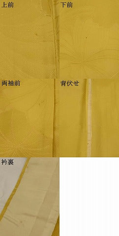 平和屋着物▽上質な色無地　単衣　花地紋　飴色　正絹　逸品　AABI0176st