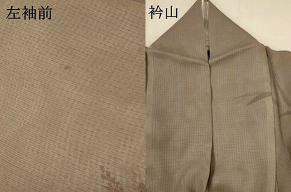 平和屋着物▽訪問着　無双　紗袷　紗×絽　草花文　暈し染め　正絹　逸品　AABI0226st