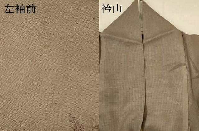 平和屋着物▽訪問着　無双　紗袷　紗×絽　草花文　暈し染め　正絹　逸品　AABI0226st