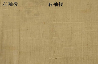 平和屋着物▽訪問着　単衣　生紬　草花文　正絹　逸品　AABI0227st