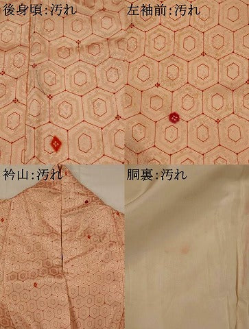 平和屋着物■上質な小紋　亀甲文　正絹　逸品　AABI0242st