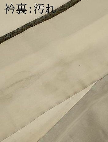 平和屋着物■上質な紬　間道　正絹　逸品　AABI0247st