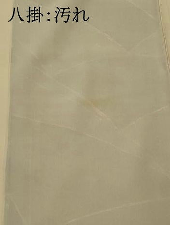 平和屋着物■上質な小紋　草花文　正絹　逸品　AABI0252st