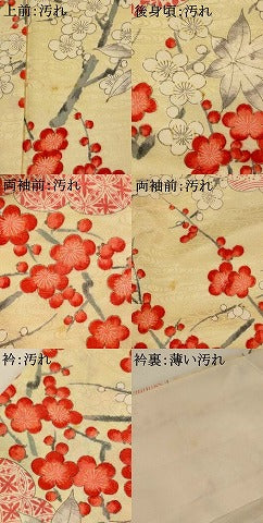 平和屋着物■上質な小紋　枝梅文　金彩　大丸扱い　正絹　逸品　AABI0282st