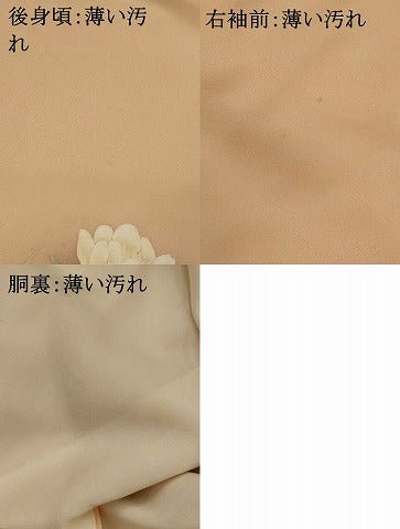 平和屋着物■訪問着　草花文　暈し染め　正絹　逸品　AABI0289st