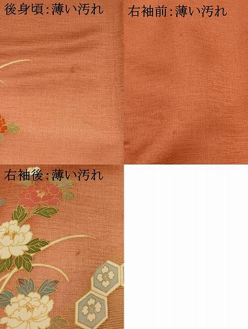 平和屋着物■訪問着　駒刺繍　花松文　暈し染め　金彩　正絹　逸品　AABI0291st