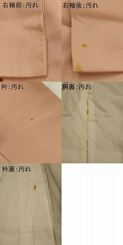 平和屋着物□訪問着 刺繍 草花文 暈し染め 正絹 逸品 AABI0309st