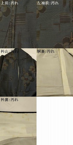 平和屋着物■本場大島紬　草花文　正絹　逸品　AABI0315st