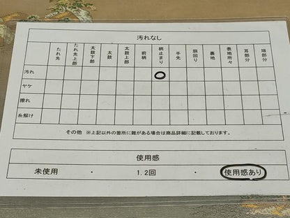 平和屋着物◎太鼓柄袋帯　唐織　九百錦　日本三大名所　引箔　正絹　逸品　AABI0326ou