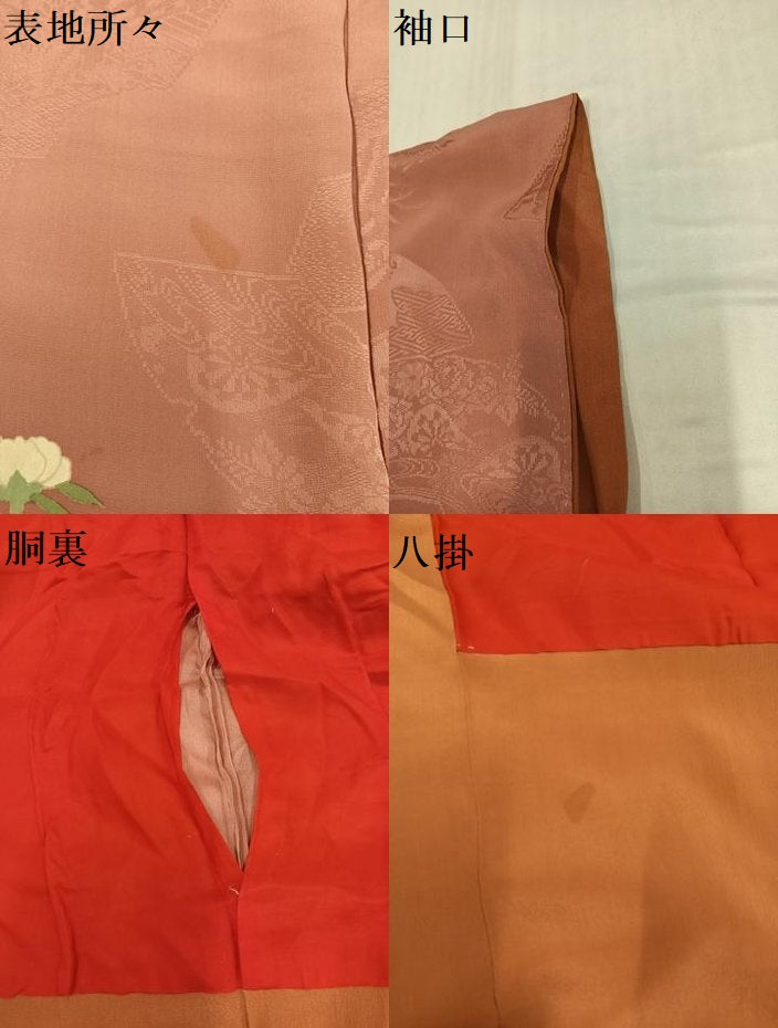 平和屋着物●アンティーク　大正ロマン　訪問着　草花冊子文　金彩　正絹　逸品　AABI0452ph